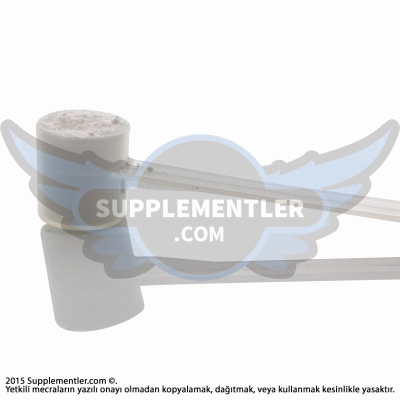 Muscletech Essential Series Platinum %100 Ultra-Pure Micronized Glutamine 302 Gr