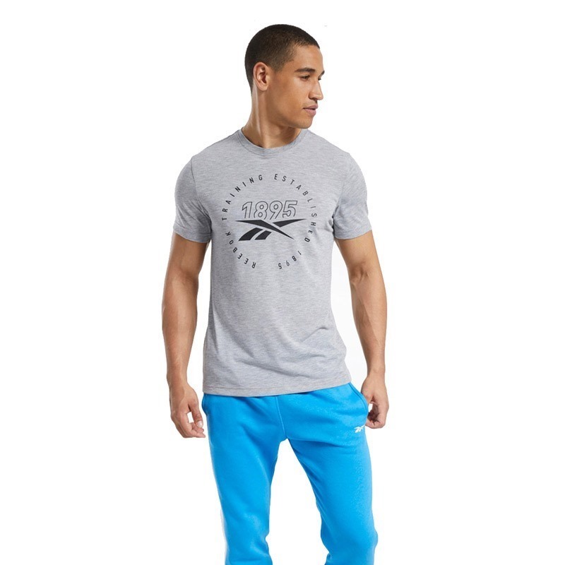 Reebok Graphic Series Speedwick T-Shirt Gri