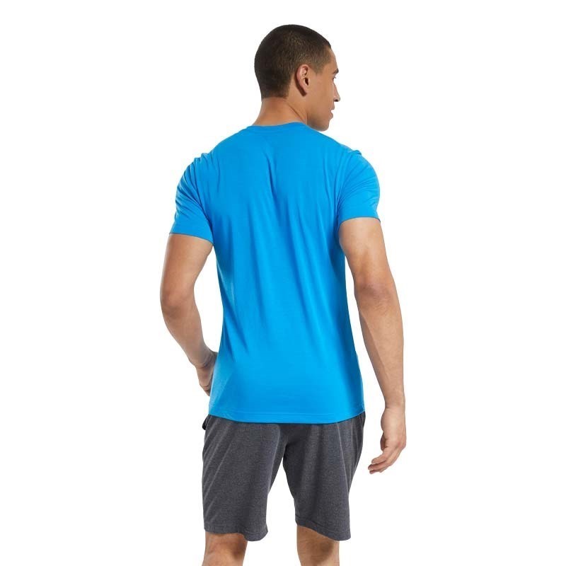 Reebok Graphic Series Speedwick T-Shirt Mavi