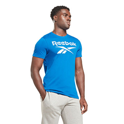 Reebok Big Logo Kısa Kollu T-Shirt Mavi