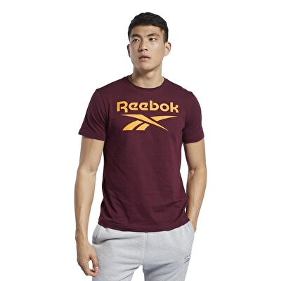 Reebok Graphic Series Stacked T-Shirt Bordo